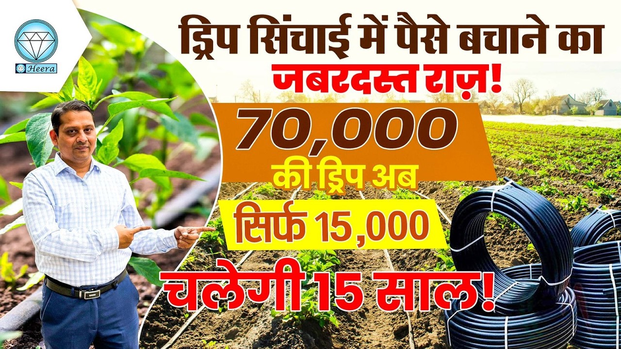 💧 70,000 की ड्रिप अब सिर्फ ₹15,000 में! किसान जलगांव पहुँचे Heera Agro से खरीदने 💥