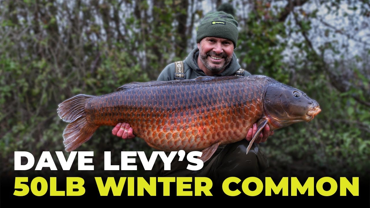 Dave Levy's 50lb Winter Common | UK Carp Fishing