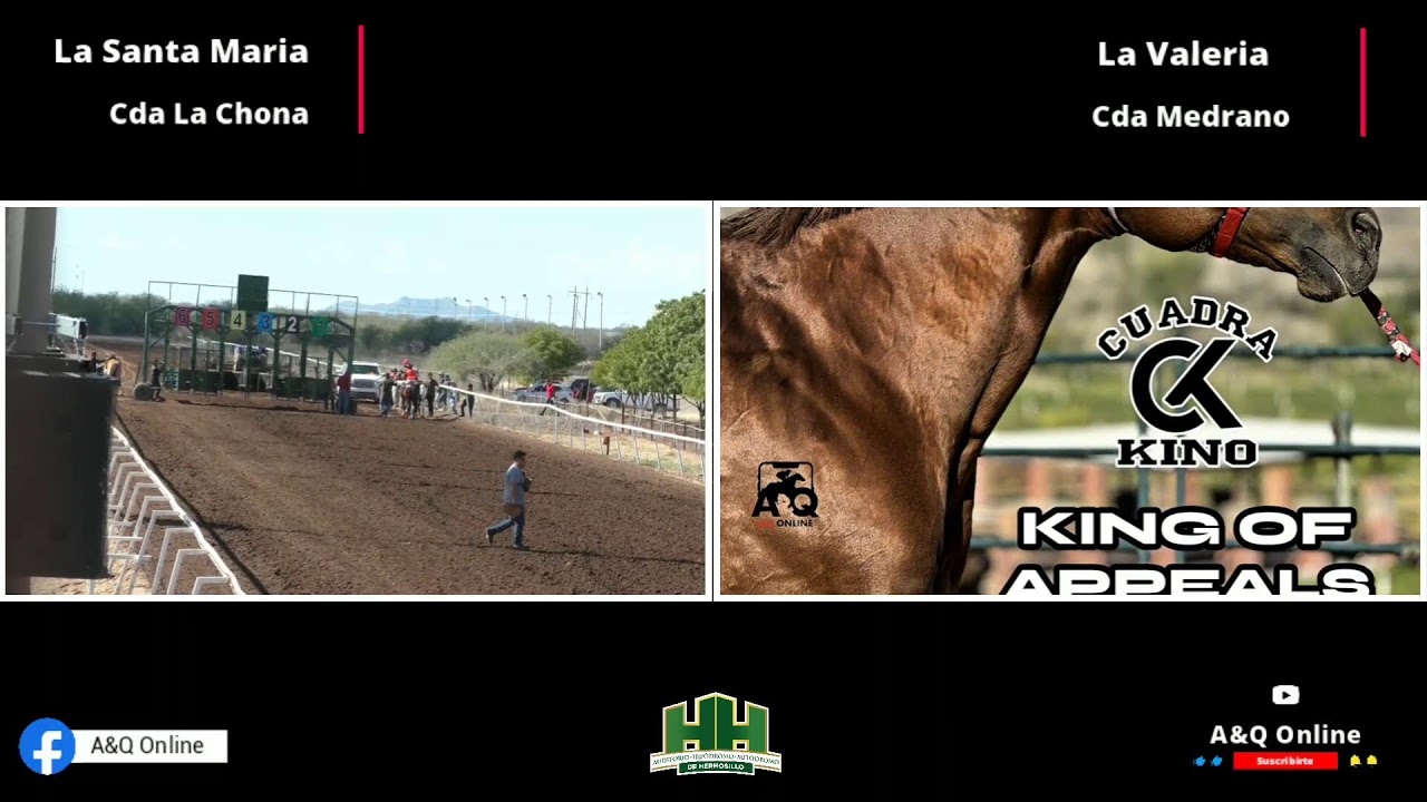 La Valeria Cda Medrano vs Santa Maria Cda La Chona 25/01/26 en HH