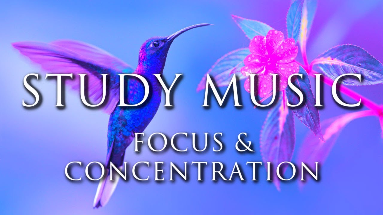 Relaxing Study Music for Focus & Concentration ♫ Do Homework Fast & Easy | Background Homework Music