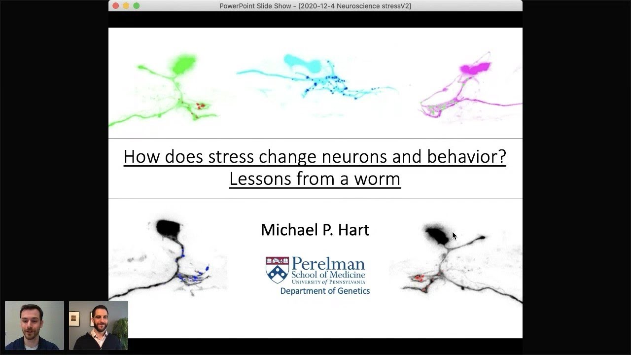 How Does Stress Change Neurons and Behavior? Lessons From A Worm (Michael P. Hart, PhD)