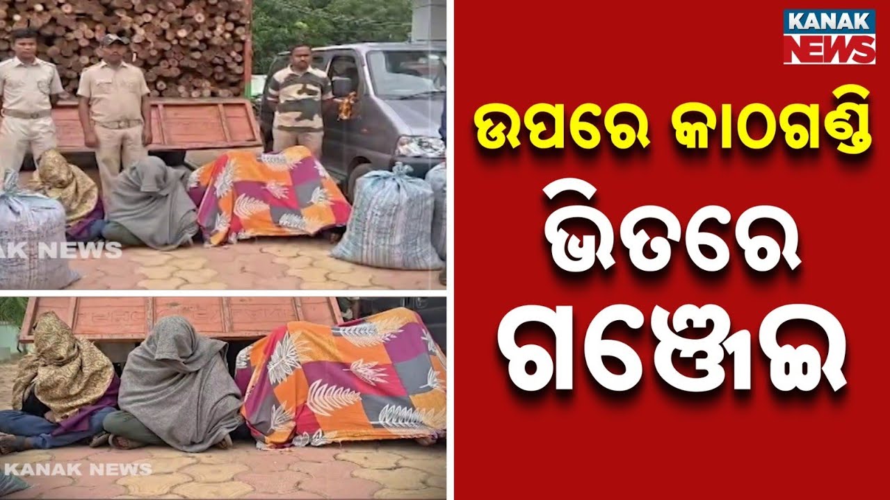 Ganja Hidden Inside Wooden Crates Busted in Koraput
