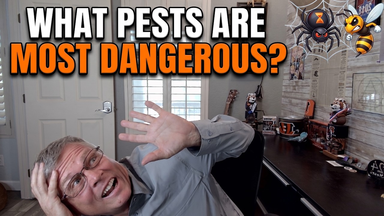 The Most Dangerous Pests in Peoria & Sun City (Factual Realities)