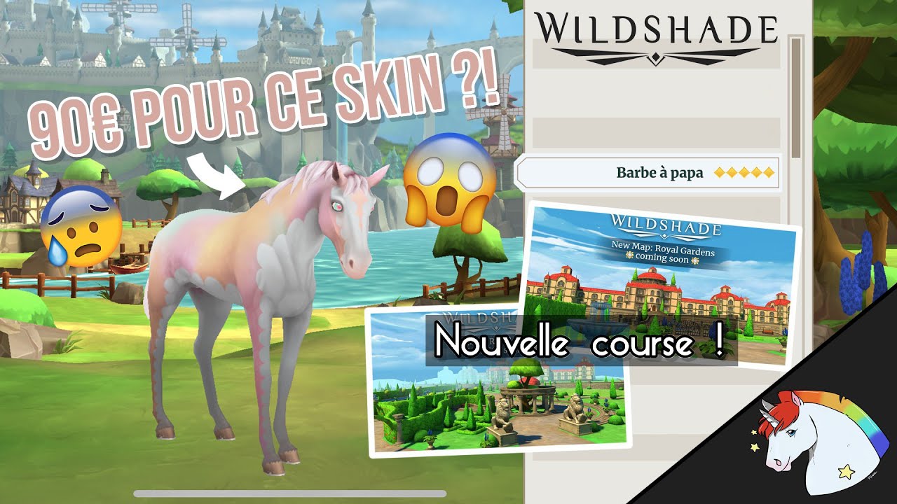 NON MAIS CA VA PAS LA TÊTE ?! 🤬 - [Wildshade]
