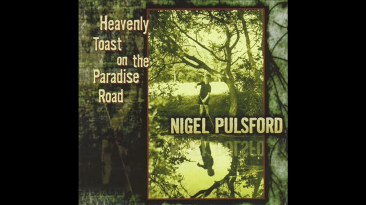 Nigel Pulsford - What Would You Think