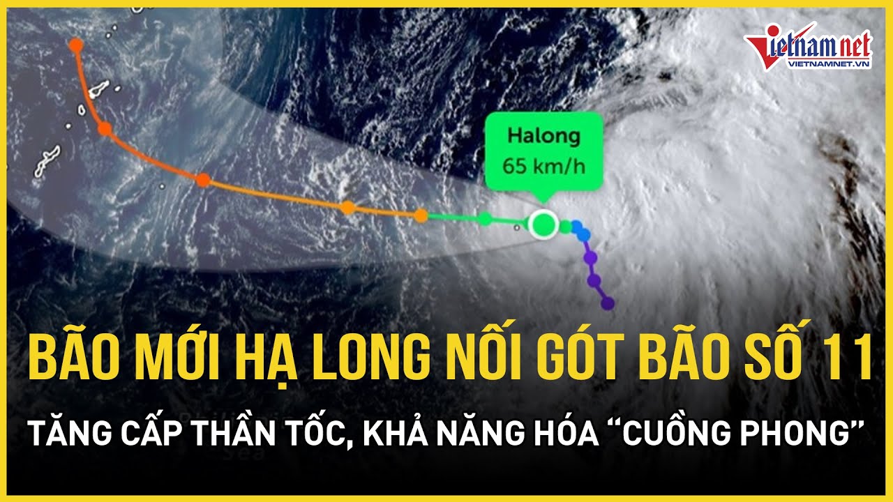 Tin b&atilde;o mới nhất: B&atilde;o Matmo vừa tan, b&atilde;o Hạ Long 