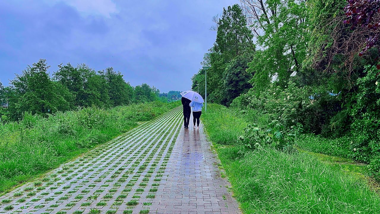 RELAXING RAIN WALK IN AMSTERDAM 4K | 🇳🇱