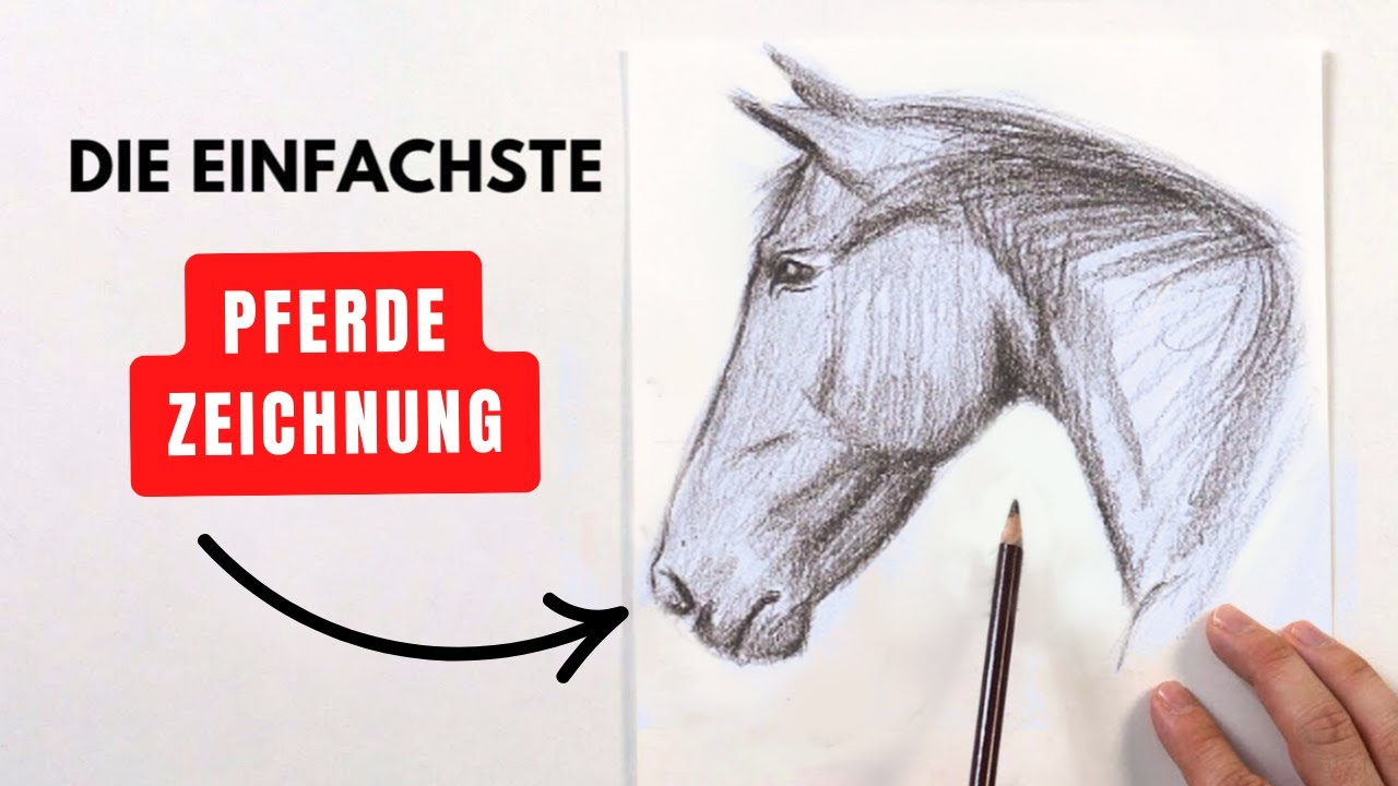 Pferd zeichnen mit nur einem Stift &ndash; Du schaffst das!