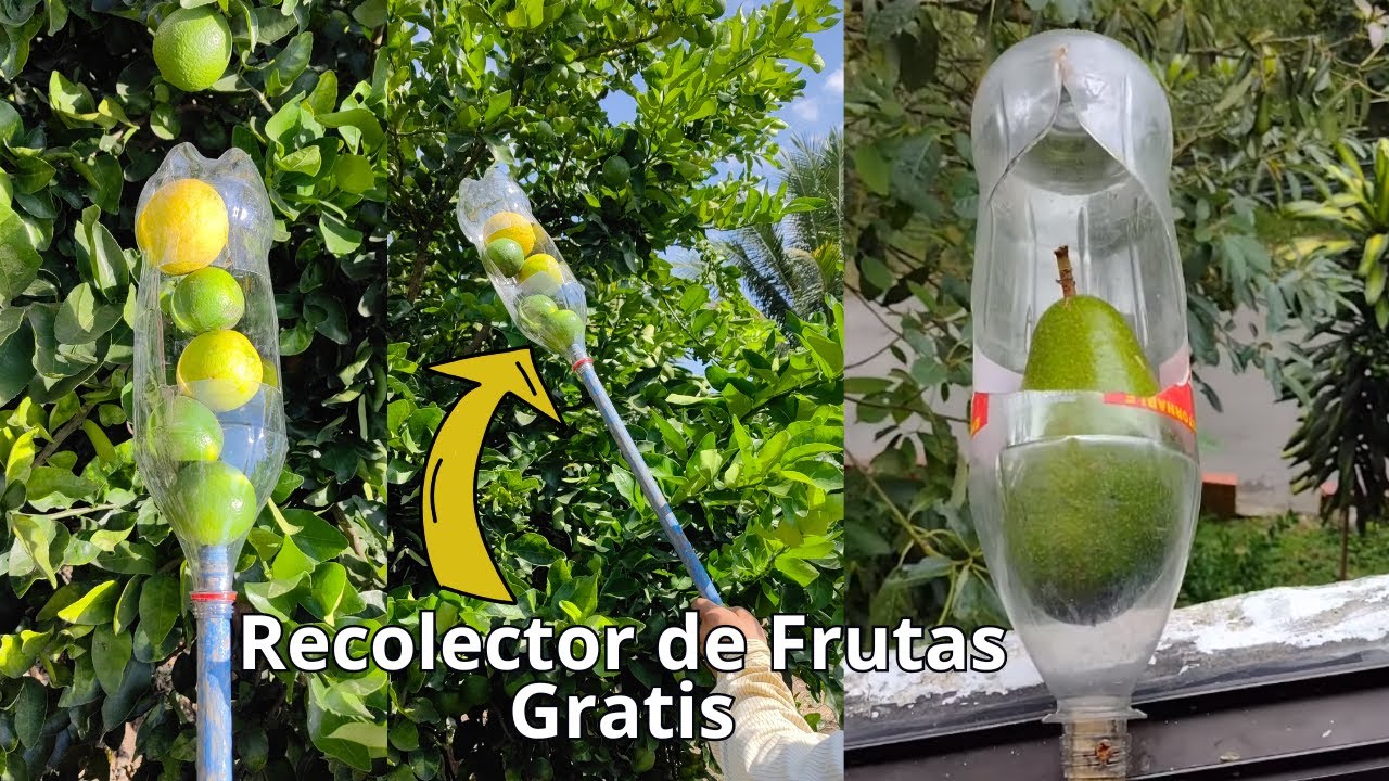 Como Hacer un Recolector de Frutas | El Mejor recogedor de Frutas Gratis