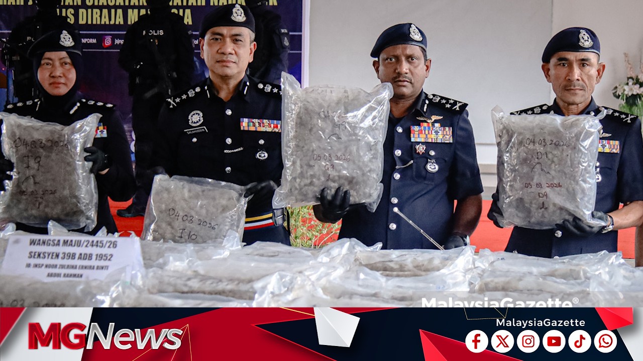 Polis Rampas 124Kg Bunga Ganja Bernilai RM10.2 Juta, 3 Lelaki Ditahan Di Kuala Lumpur