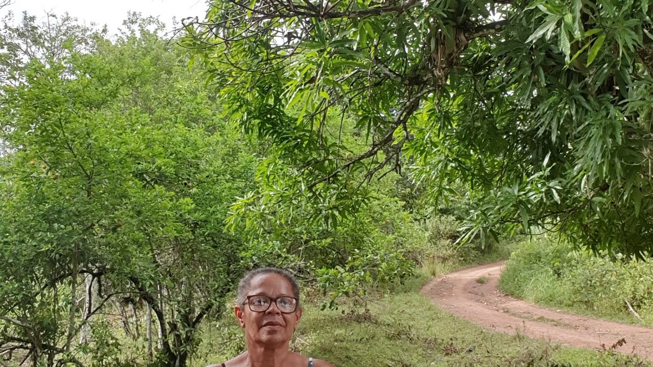 Mostrando o meu quintal 🌱🐕🫒
