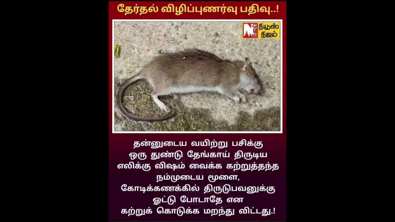 #tnelection2026 #tnelections2026 #tamilnaduelection2026 #mla2026 #tnpolitics2026 #tamilnadu2026