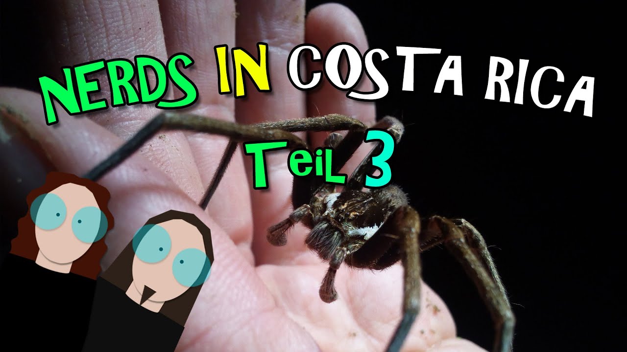 Nerds In Costa Rica 3 - 