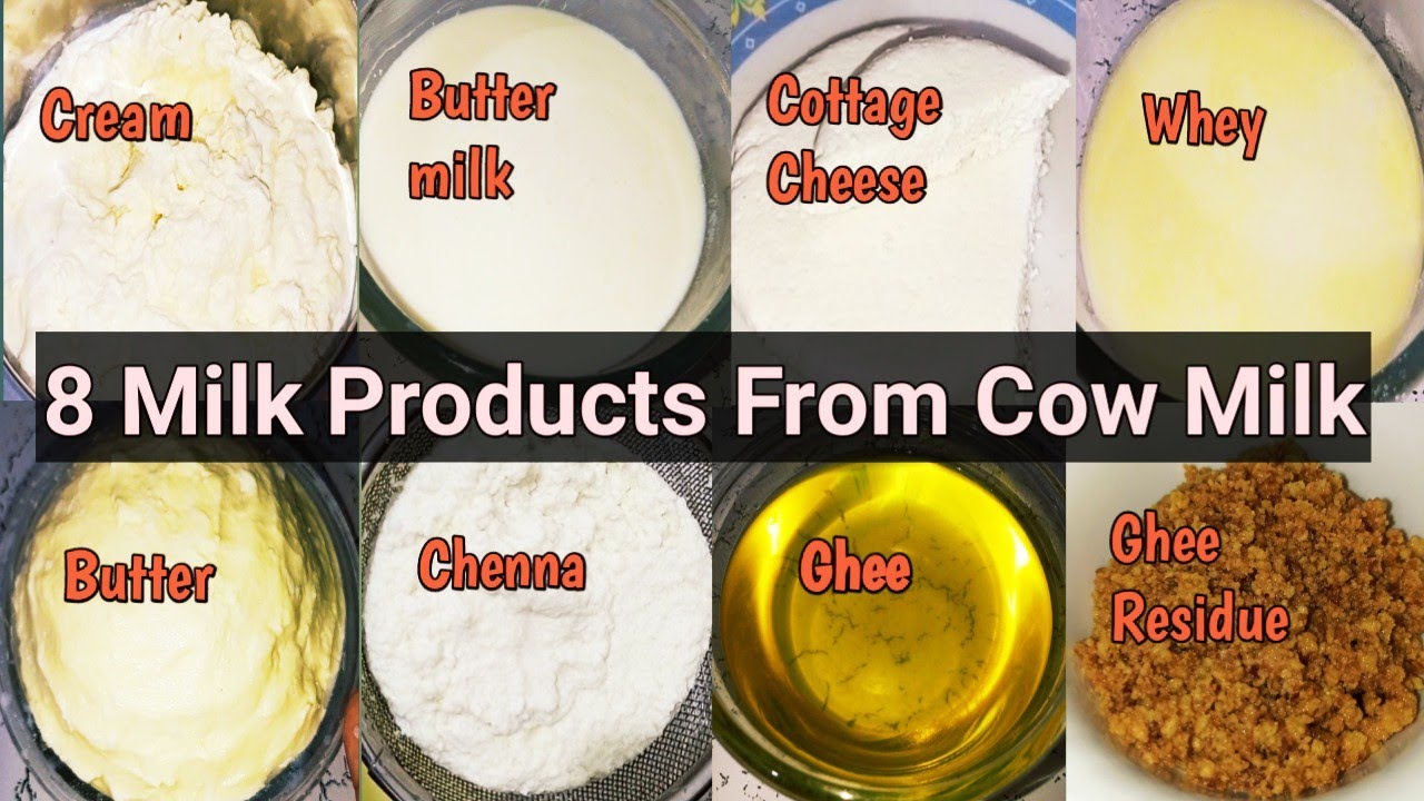 8 Milk Products From Cow Milk || How to make 8 Different Milk Products Using of Cow Milk