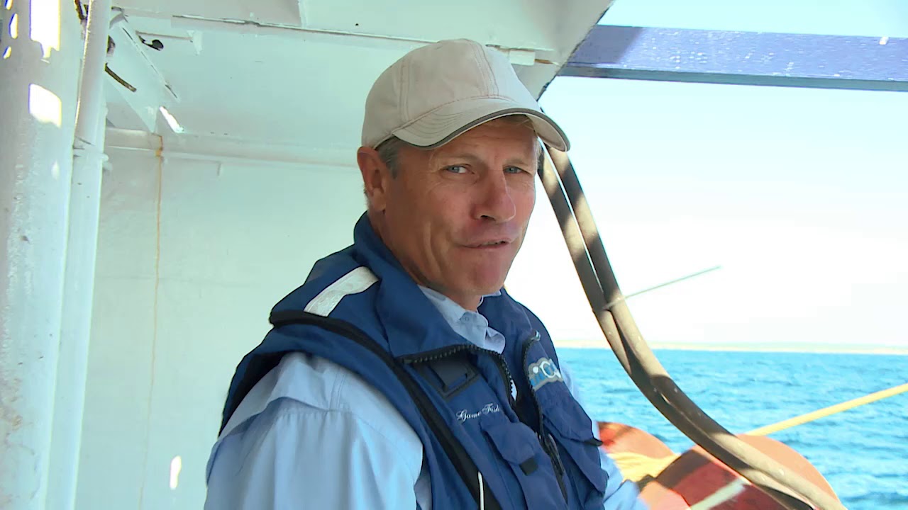 Seafood Escape with ET: Sydney Leatherjacket, S1E4, Fishing Clip #1