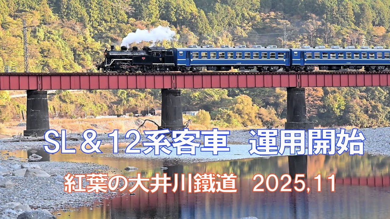 SL＆12系客車 運用開始　紅葉の大井川鐵道　2025,11