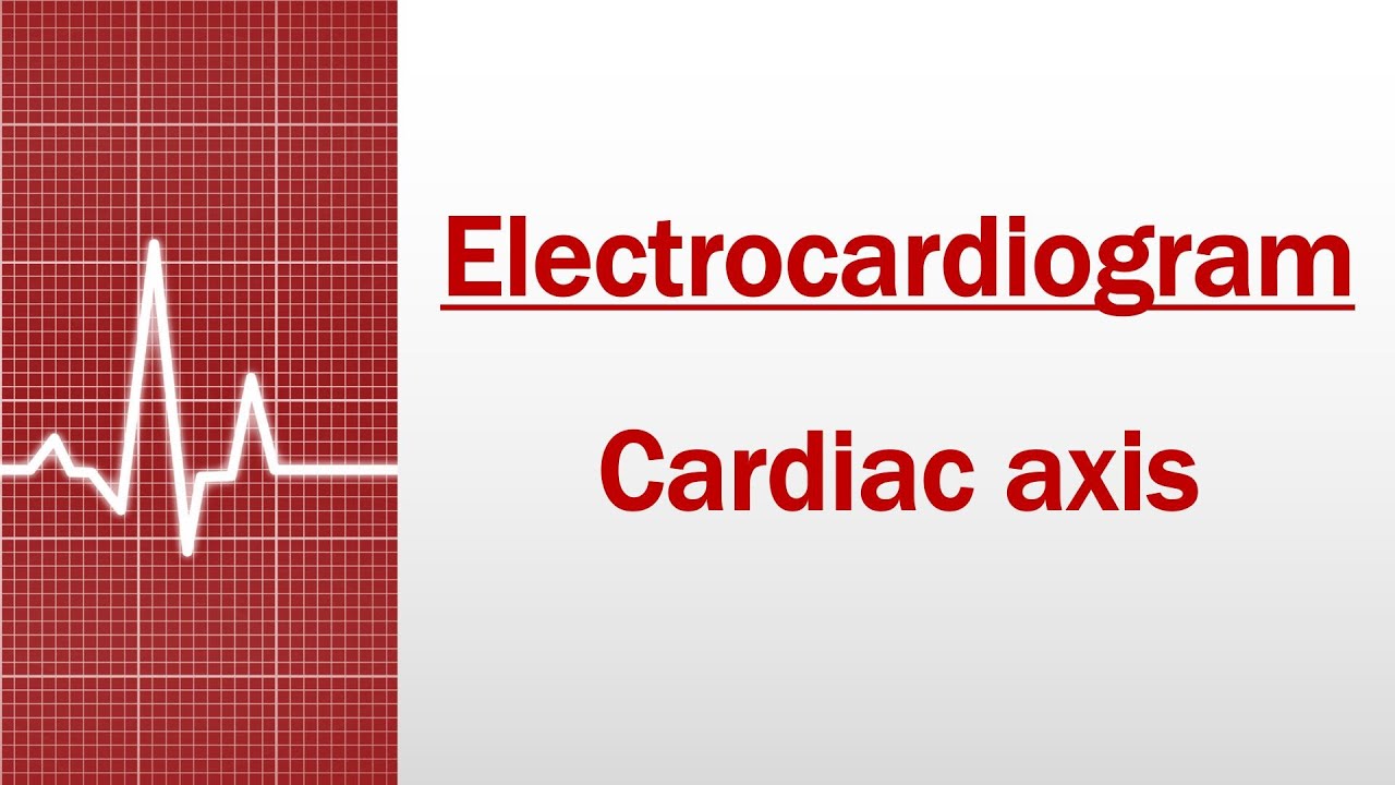 Cardiac axis [Electrocardiogram]