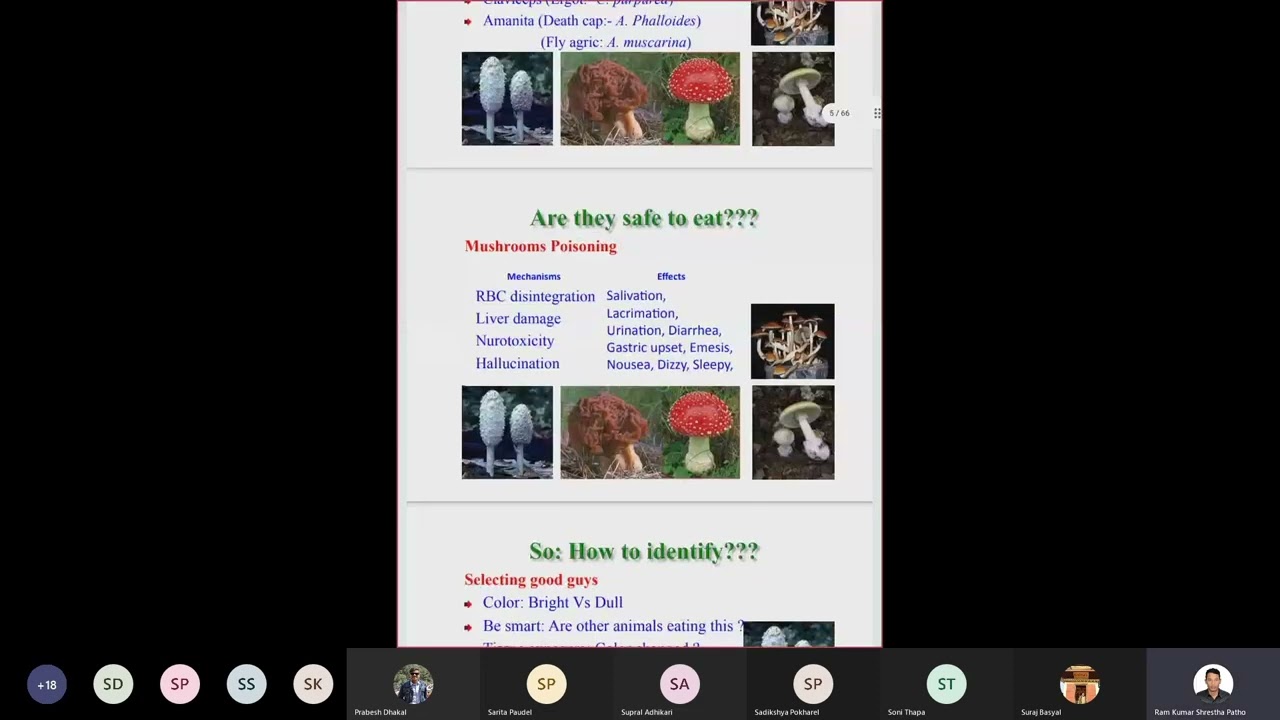 Mushroom and its cultivation | Poisonous and Edible Mushrooms | Importance of Mushrooms #bscag