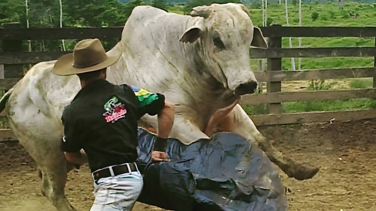 BRUTOS NA CAPA #3 🐮 CORAGEM PRA POUCOS