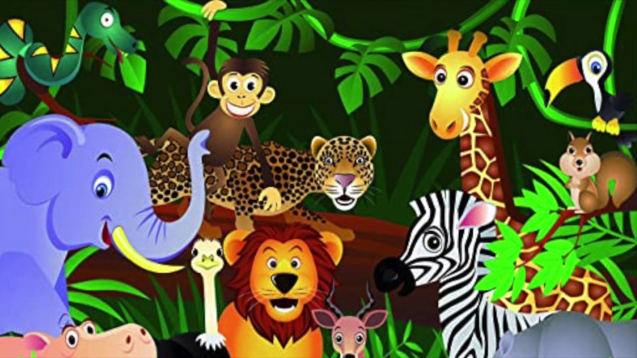 Masajes en la selva.