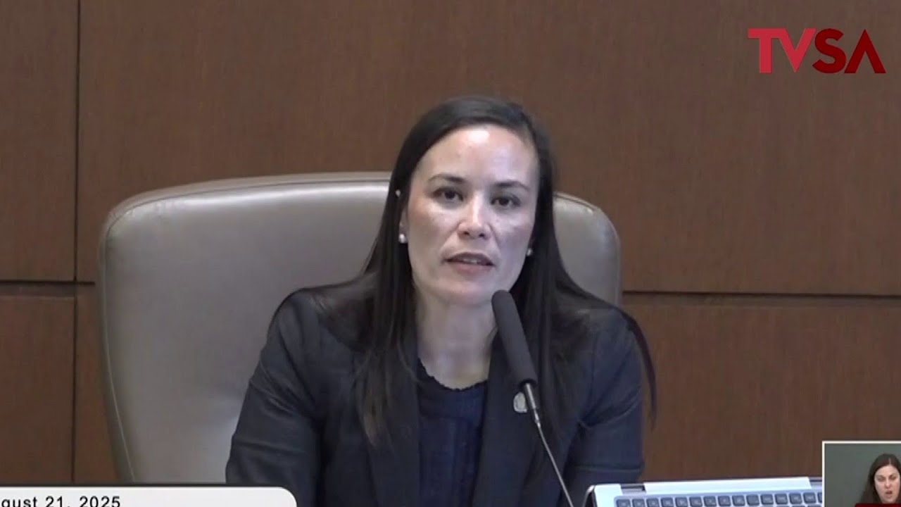 San Antonio City Council hears mixed reactions on proposal for new Spurs arena