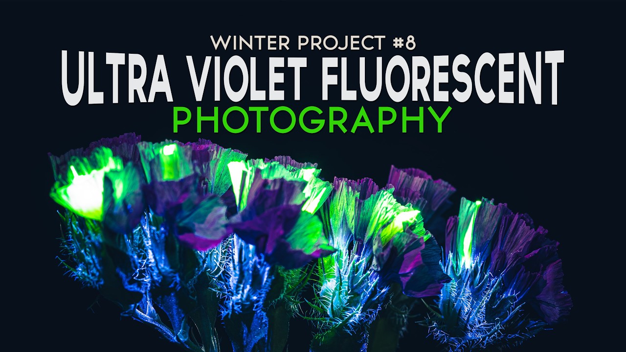 🌟 The Winter Studio Week 8: UVIVF Photography – Capturing Fluorescence Under UV Light 🌟