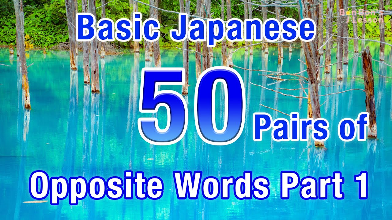 50 Pairs of Basic Japanese Opposite Words (Antonyms) Part1