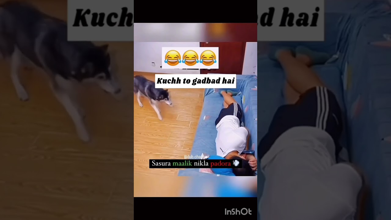 kuch thik nhi hai 🤣🤣🤣#@dub.chachu #youtubeshorts #funny #funnyvideo #padora #Dharmaraj@officiald #