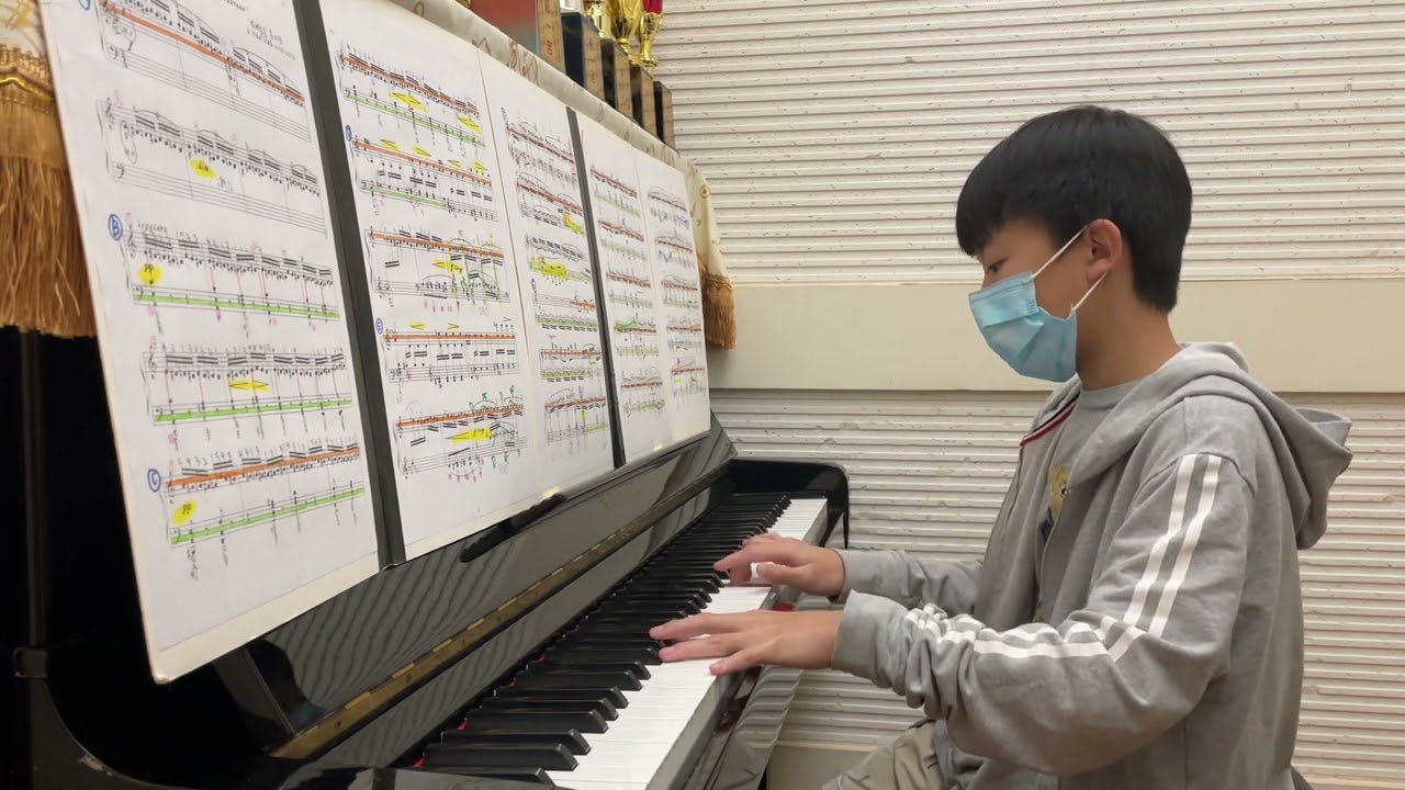大黃蜂