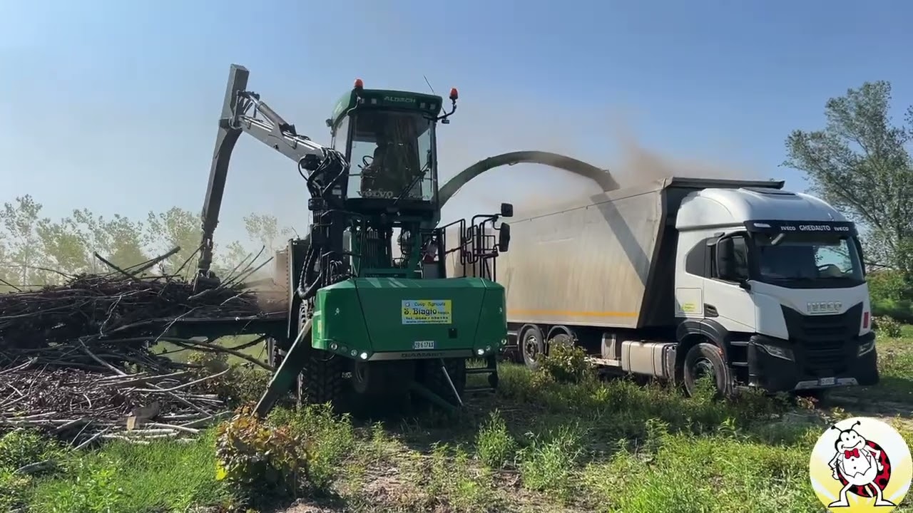 Cippatura cimali di pioppo con Albach Diamant 2000