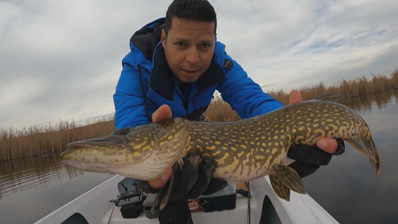 🛶 Cam asa arata paradisul pescarilor  🎣 . Delta Rasova, Lacul Vederoasa. Episodul 60