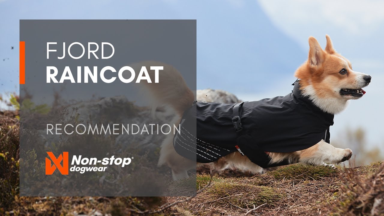 Fjord raincoat - Rain jacket for dogs
