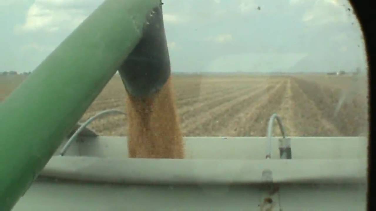 Combine Corn