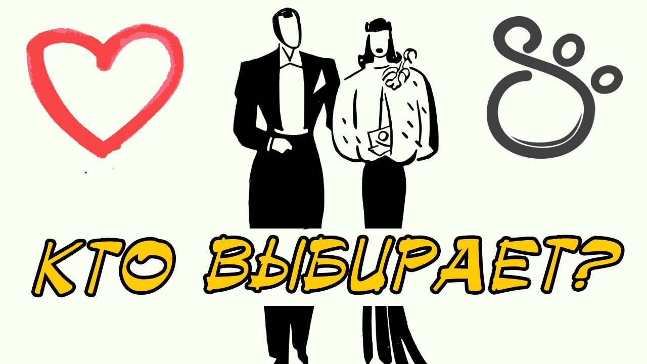Мужчина или женщина — кто кого выбирает в отношениях?