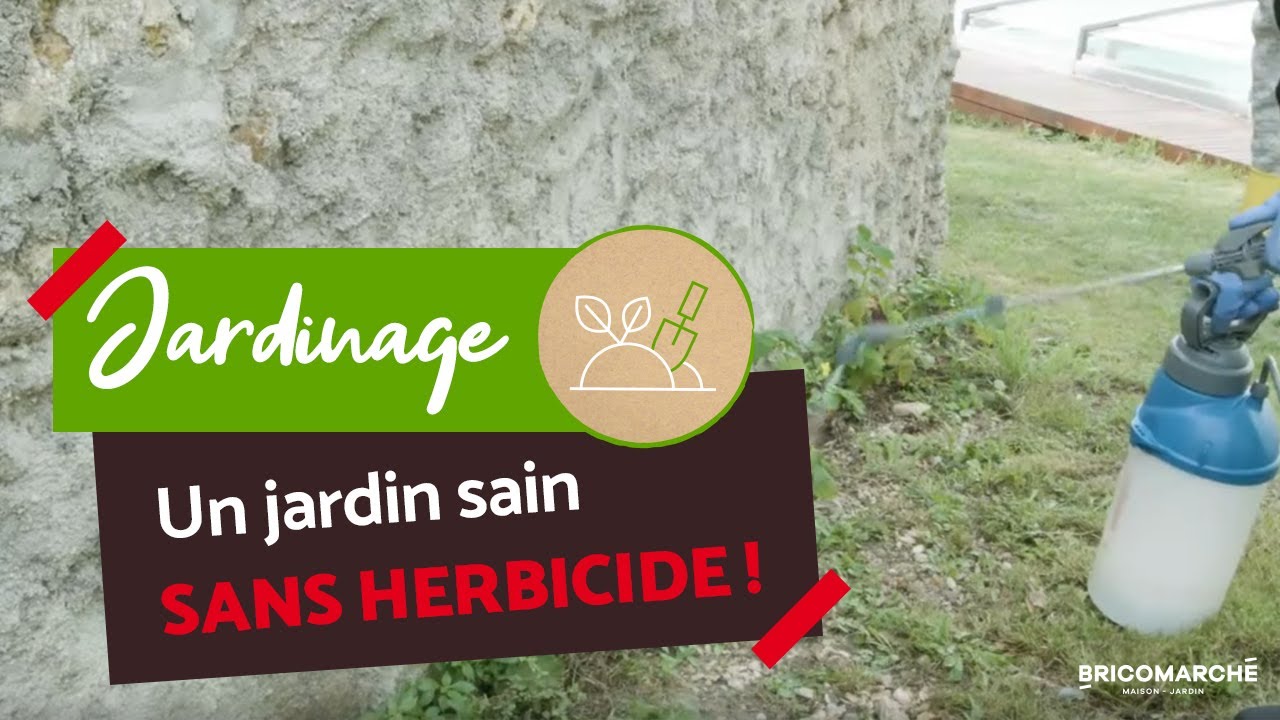 Éliminer les mauvaises herbes : La méthode naturelle ! I Bricomarché