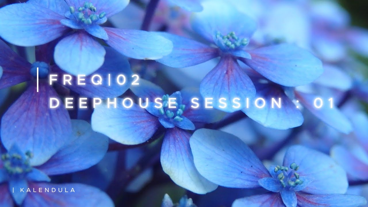 KALENDULA pres. FREQ|02 DEEPHOUSE Session:01