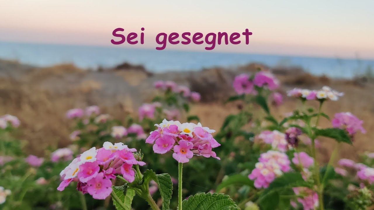 Sei gesegnet❤️🙏/Elena Krieger/Foto/