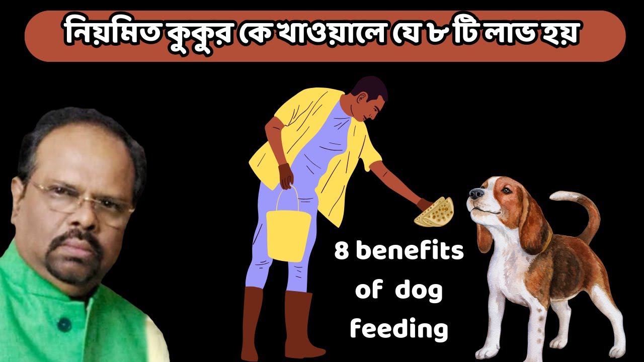 নিয়মিত কুকুর কে খাওয়ালে যে ৮ টি লাভ হয় । Feeding  Dog Regularly Can CHANGE EVERYTHING!