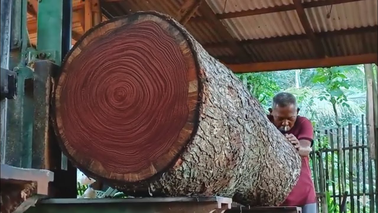 «Рубка огромного бревна — успокаивающий звук бензопилы»