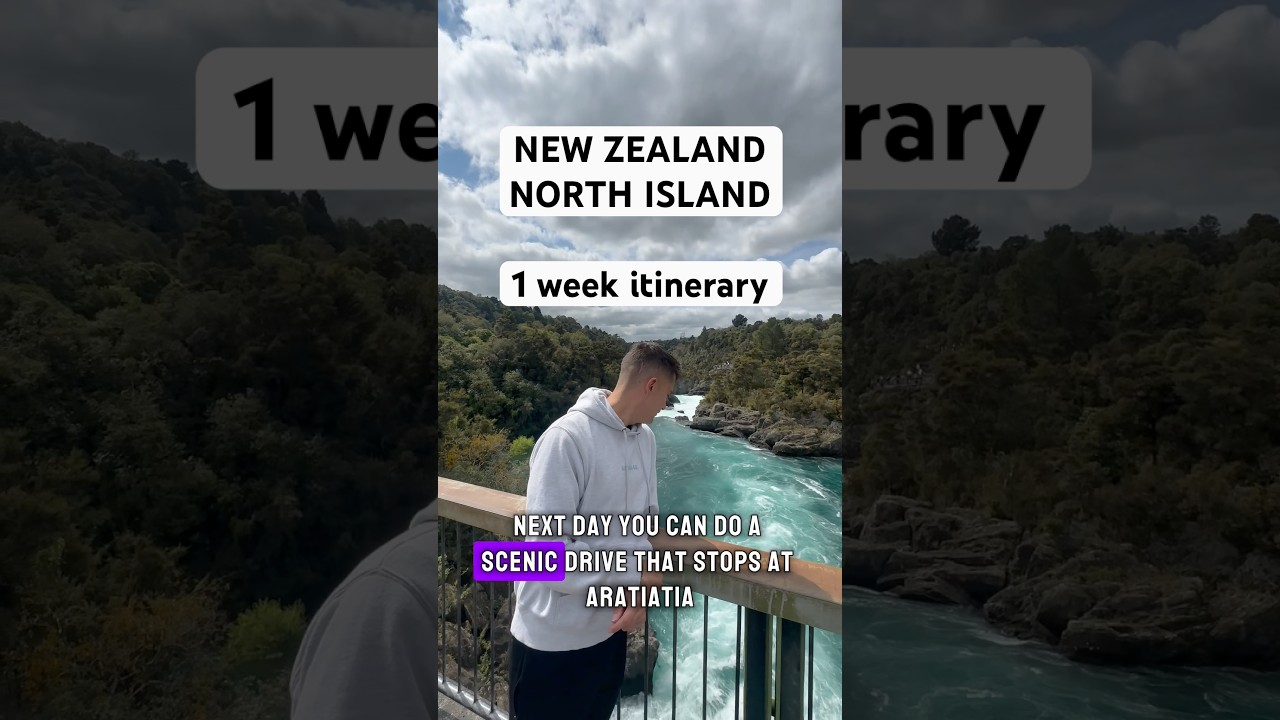 1 week North Island New Zealand Itinerary 📍 🇳🇿 #newzealand #northisland #nature #roadtrip