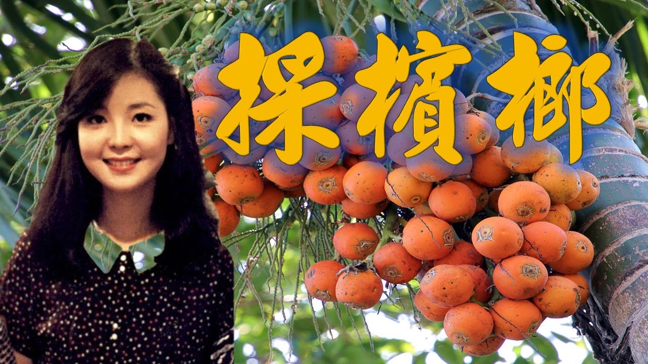 鄧麗君---採檳榔（鄧麗君六歲時學會的第一首歌曲 ，這首1982年在 香港演唱）懷念經典老歌回味