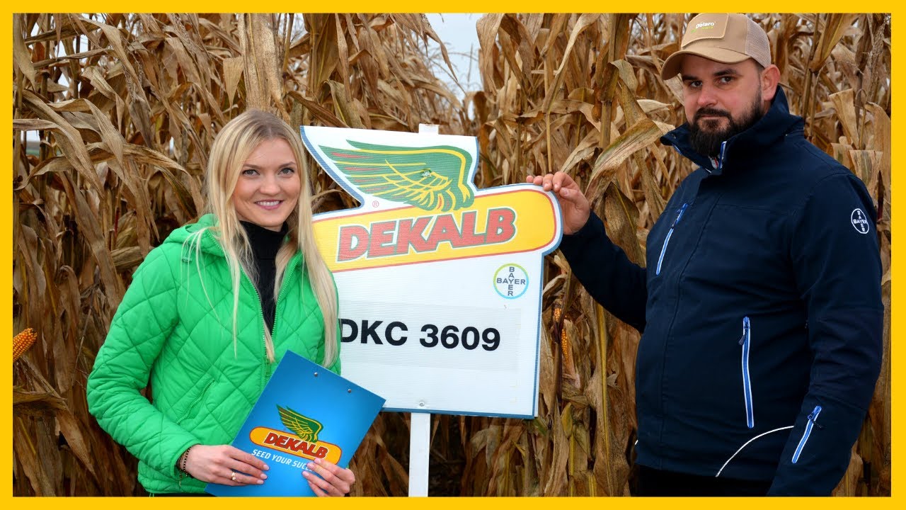 DEKALB poczuj r&oacute;żnicę - wybierz kukurydzę najlepszą dla swojego pola