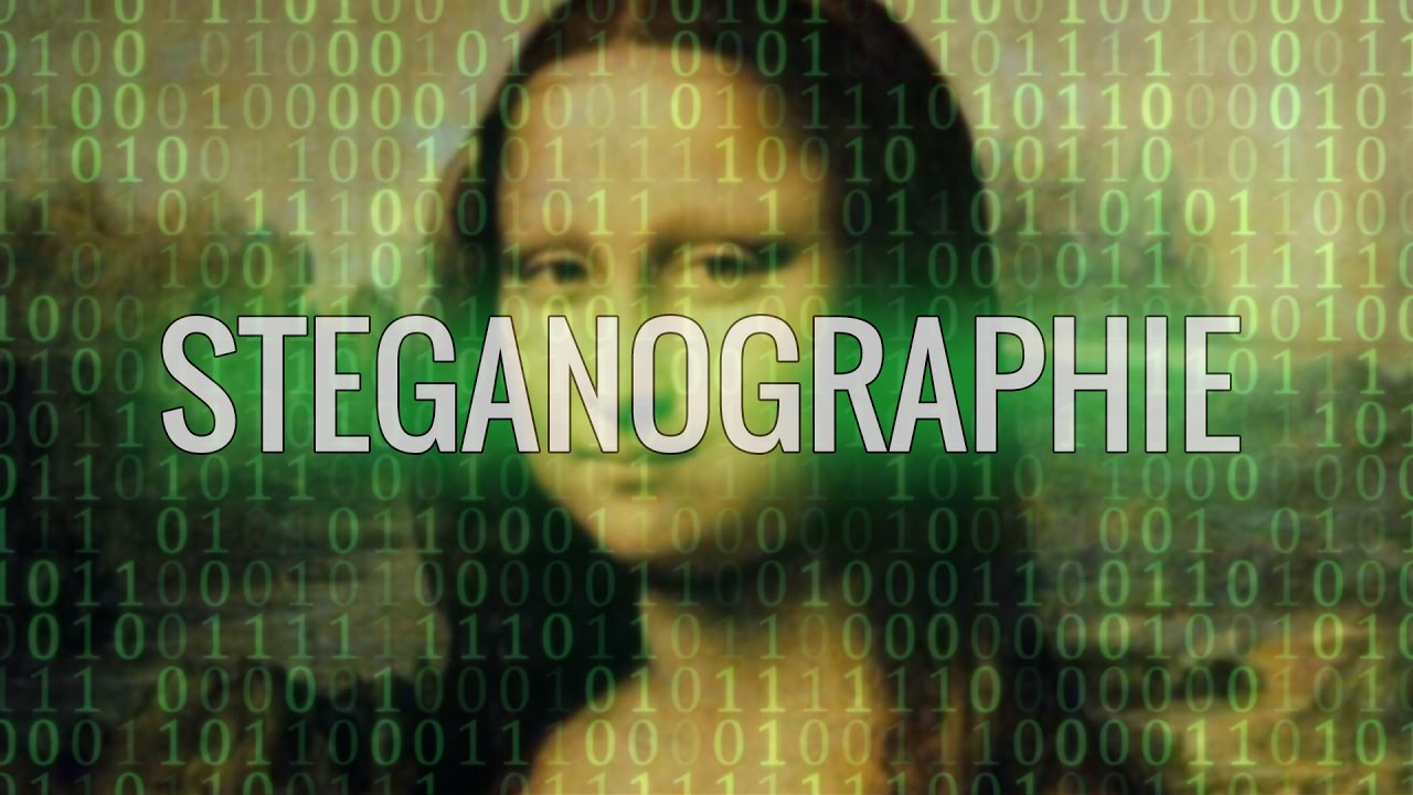 Dissimuler de l'information grâce à la stéganographie