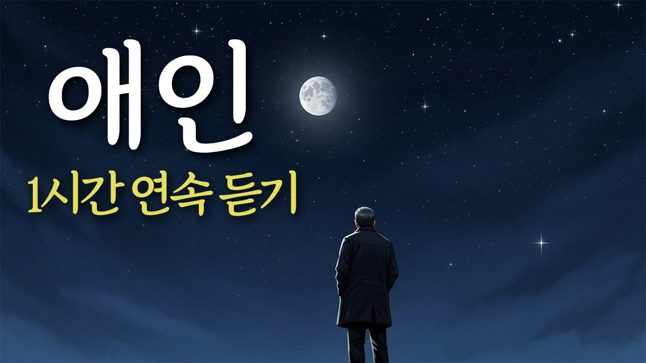🎶 1시간 연속듣기 「애인」 멀어졌지만 잊히지 않는 사람, 유일무이 트로트
