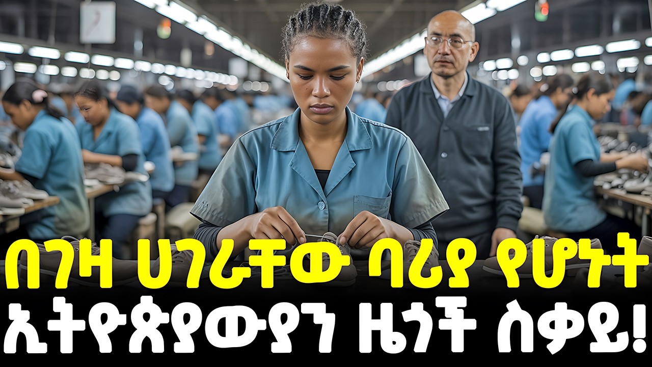 #ethiopia : ኢትዮጵያውያንን እንደ ባሪያ… | የቻይናውያኑ ጉድ ኢትዮጵያ ውስጥ! | በቪዲዮ የተጋለጠው ግፍ... | @Meshualekia - መሿለኪያ