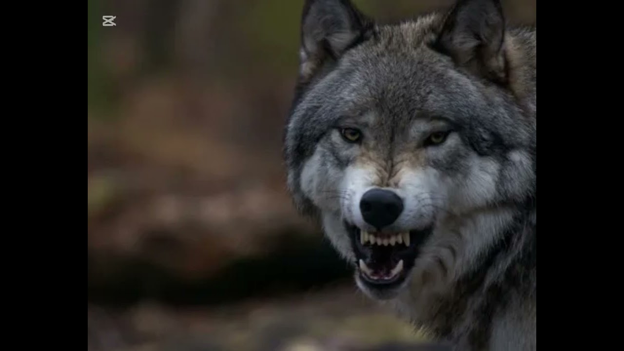 Garik Garik.Не получиться пройти мимо бога…