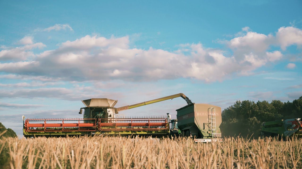 Balticagrar / Latvia 2020: From the field to the port