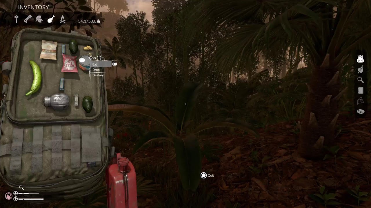 LOST IN THE AMAZON 🌴 | GREEN HELL Ep. 10 (PS5)
