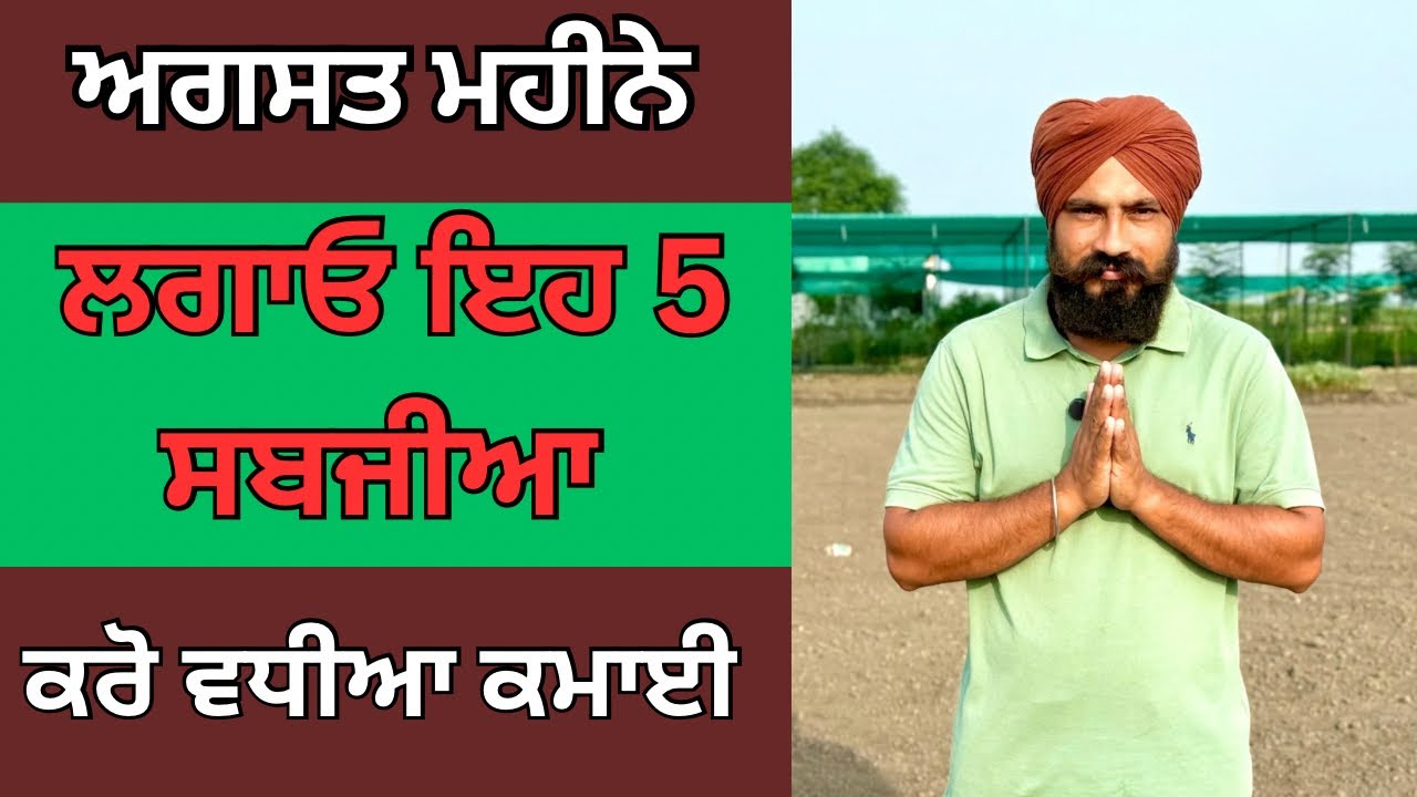 ਅਗਸਤ ਵਿੱਚ ਲਾਓ ਇਹ 5 ਸਬਜ਼ੀਆਂ| August Me Konsi Sabji Lagaye|August Me Lagane Wali Sabji |Farming Guide