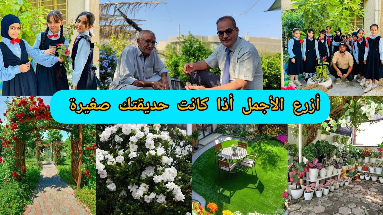 ازرع الأجمل اذا كانت حديقة المنزل صغيرة حتى الجدران ممكن استغلالها بالزراعة